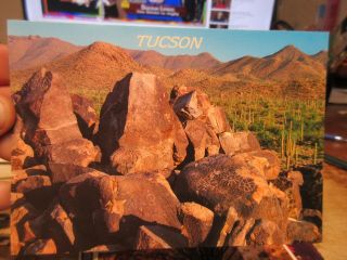 Vintage Old Postcard Arizona Tucson Saguaro National Monument Petroglyphs Hill