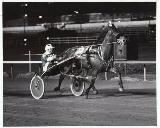 Cicero,  Illinois,  1980 ; Sportsman Park Harness Horse Race,  Lovely Egyptian Win