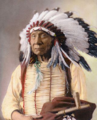 Chief Red Cloud Native American Sioux Indian 1897 8x10 " Hand Color Tinted Photo