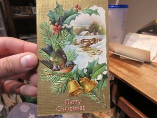 Vintage Old Antique Victorian Era Merry Christmas Postcard Bluebird Pine Holly