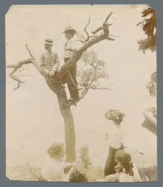 Two Confident Well Dressed Men Standing In A Tree,  1890 