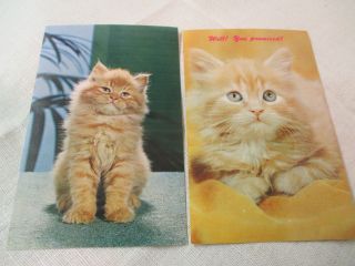 Vintage 2 Postcards Kittens Dexter Press &great Britain Pt26