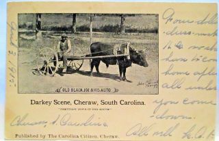 1905 Signed J Patrick Postcard Old Black Joe & His Auto,  Darkey Scene,  Cheraw Sc