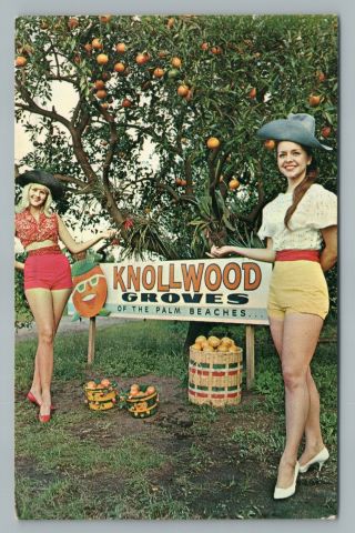 Knollwood Groves Palm Beach Florida—pretty Pinup Girls Sign Entrance Vintage 
