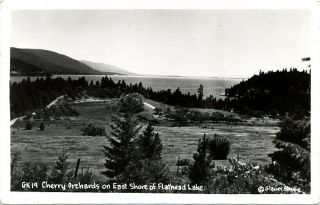Mt Montana " Cherry Orchards,  Flathead Lake " Unposted Real Photo Rppc Card