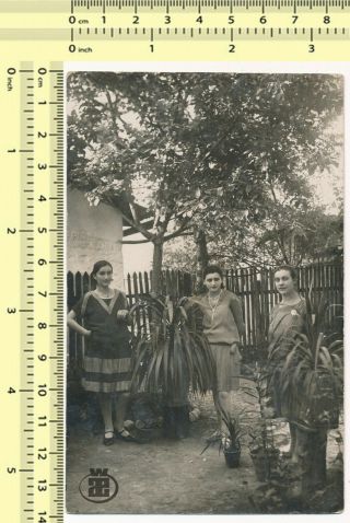 012 Three Women In Garden,  Ladies Females Portrait Old Photo Snapshot