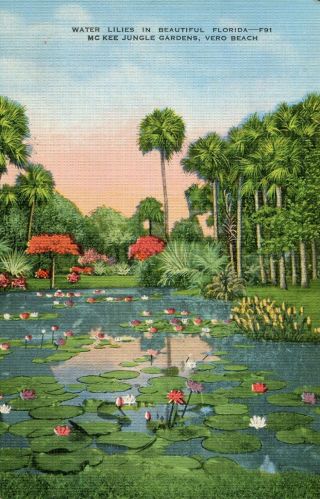 Vero Beach Fl Mckee Jungle Gardens Water Lilies Postcard S/h