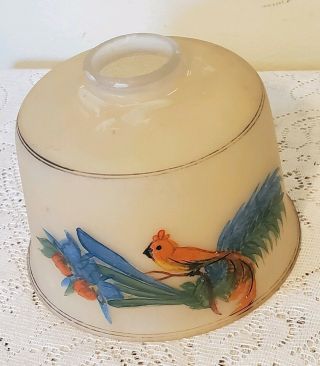 Vintage Hand Painted Art Glass Lamp Shade 21/4 " Tropical Birds