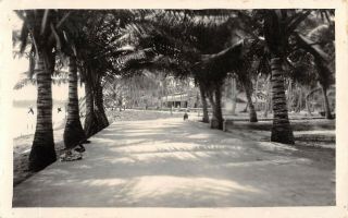 Santurce,  Puerto Rico,  View In Borinquen Park,  Real Photo Pc C 1920 