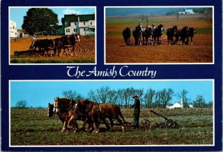 Postcard Pa Pennsylvania Lancaster County Amish Horses Farming Fields Unposted