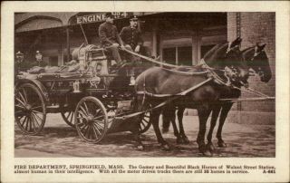 Springfield Ma Fire Department Horse Drawn Walnut St.  C1910 Postcard