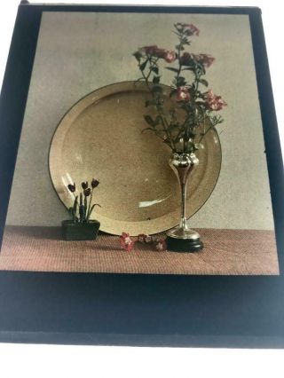 Early 1910s - 1920s Autochrome Colour Lantern Slide Still View Flowers And Plate