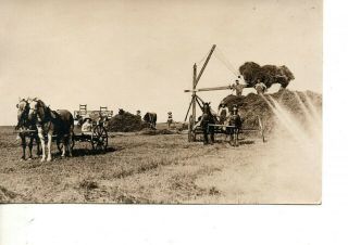 Rppc Farmers Cutting Hay Hemp Hoisting On Wagons Prairie Farm 187