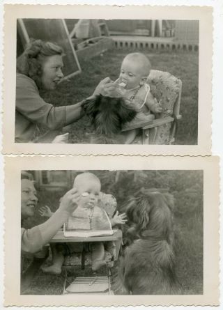 Mom Feeding Baby As Pet Dog Observes & Tries To Snack Vintage Snapshot Photos