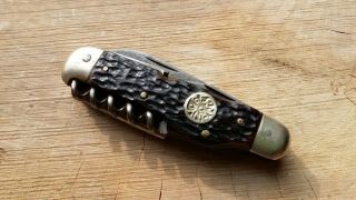 Vintage Bone Kane Kutlery (c.  Bertram) Solingen Germany Sportsman Knife