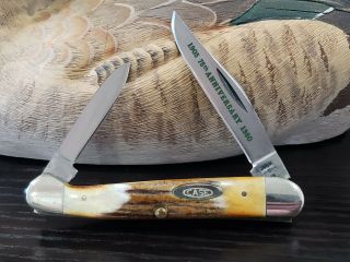 1980 10 Dot Case Xx 52109x Baby Copperhead Knife 75th Anniversary Stag Handle