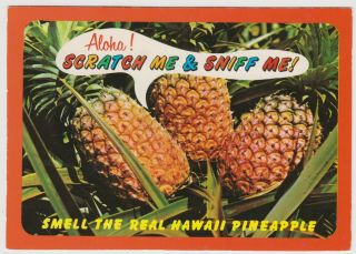 C1970s Aloha Scratch & Sniff Hawaii Pineapple Postcard