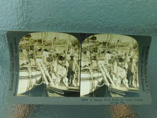 Rare Vintage Keystone Stereoview Photo Card Early Diver Tarpon Springs Fl