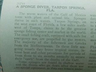 Rare Vintage Keystone Stereoview Photo Card Early Diver Tarpon Springs FL 5