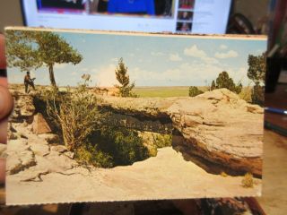 Vintage Old Postcard Arizona Petrified Forest National Park Agate Bridge Stone
