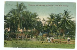 Vintage Postcard 1900 Nicaragua Bluefields Old Bank Scenery Farm Pearl Lagoon
