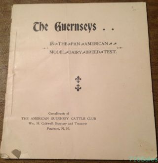 The Guernseys Cattle In 1901 Pan - American Exposition Buffalo Ny 52 Page Booklet