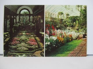 Jersey The Duke Gardens Somerville Postcard Usa Vintage