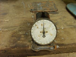 Vintage Antique 1907 Columbia Family Weight Scale Landers Frary & Clark