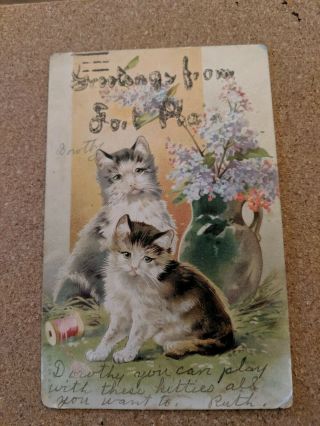 Vintage Cat Postcard.  Cats.  Flowers.  Greetings From Fort Plain.  Pm 1906.