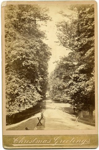 Christmas Greetings Tree Lined Path In A Park Cabinet Card