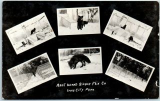 Lake City,  Mn Rppc Photo Postcard " Rest Island Silver Fox Co " Multi - View C1920s
