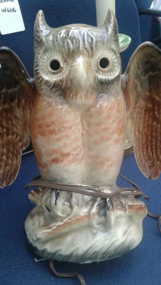 1950s Texans Inc.  Owl Light Just And Full
