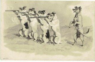 Maguire Artist Old Postcard Anthropomorphic Terrier Dogs Rifle Practice Embossed