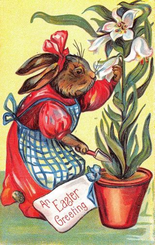 Easter Greeting Dressed Rabbit Flower Plant Antique Postcard K97024
