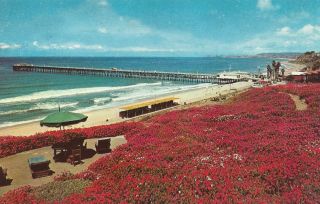 Public Bathing Beach & Ocean Fishing Pier At San Clemente,  Ca.  Vintage Postcard