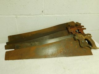 Vintage Untouched 5 Piece H.  Disston & Sons Hand Saw Selection (3)