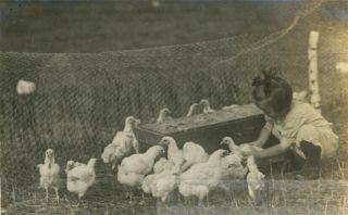 1914 Little Caroline Grabs A Baby Chick Chickens On Farm