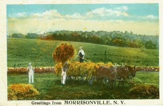 Morrisonville,  Ny.  Harvesting Of Hay Greeting From Morrisonville