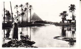 Flooding Of The Nile Near The Pyramid Cairo Egypt Rppc Post Card