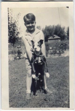A Boy And His Dog By The Garden Snapshot Photograph