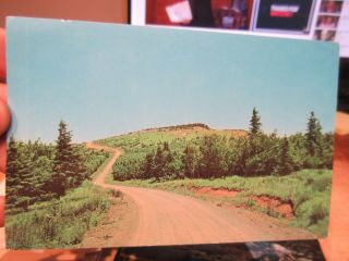 Vintage Old Postcard West Virginia Pendleton County Spruce Knob Mountain Dirt Rd