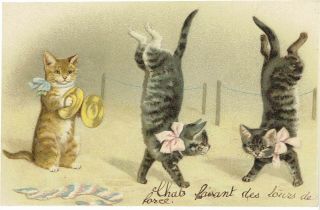 Helena Maguire Artist Old Postcard Anthropomorphic Cats Acrobats Playing Cymbal
