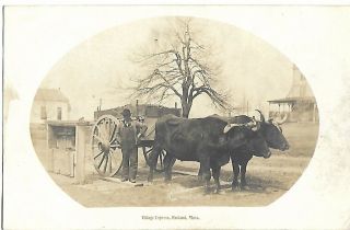 Antique Real Photo Postcard Village Express Oxen And Buckboard Rutland Ma