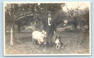 Handsome Young Man W/ Pet Sheep & Dog - Endearing 1900s America Vtg Photo Rppc
