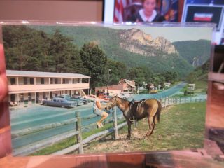 Vintage Old Postcard West Virginia Macksville Seneca Yokum 