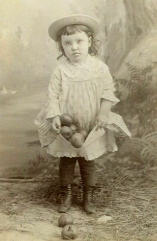 Antique Cabinet Photo Sweet Little Girl W Hat Gathering Apples - Watkins Ny