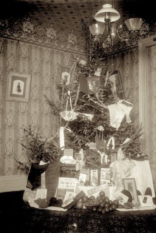 1907 Photo Glass Negative Christmas Tree Gifts Turn Of The Century Holiday