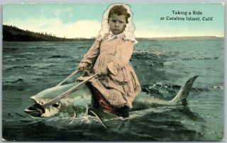 Catalina Island Ca Antique Postcard Girl Taking Fish Ride