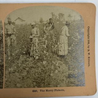 Wow Antique Black Americana Cotton Stereoscopic Stereoview Photo Rare