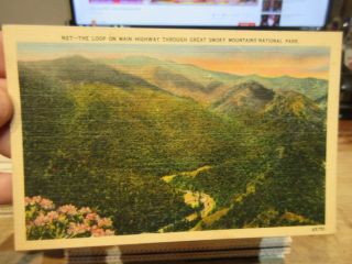 Vintage Old Postcard North Carolina Great Smoky Mountains National Park Loop Hwy